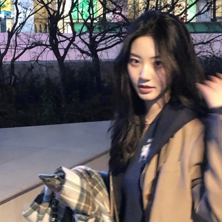 精灵宝可梦：大家的故事